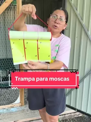 Trampa para moscas 🪰 #moscas #Home #summerwins #dealsforyoudays #tiktokshopcreatorpicks 