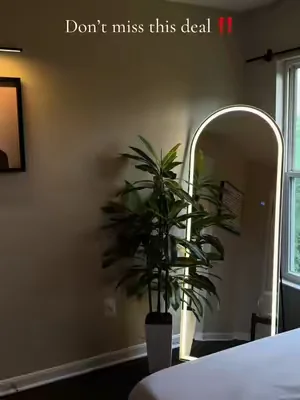 #fullbodymirror #ledmirror #homefinds #homefurniture #mirror 