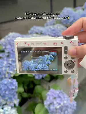 So pretty 😍 #weeklydeals #tiktokshopdealsforyoudays #camera #digitalcameras #summerwins 