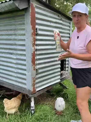 Help protect your flock from mites, lice, and fleas. #SummerWins #dealsforyoudays #tiktokshopcreatorpicks #backyardchickens #poultrycare 