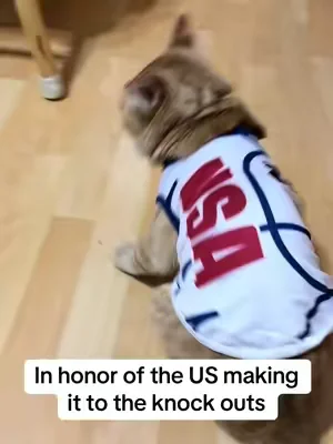 #worldcup #Soccer #unitedstates #usa #worldcup2026 