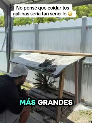 Repelente de pestes para que tus gallinas estén más seguras. #Dealsforyoudays #tiktokshopcreatorpicks #summerwins 