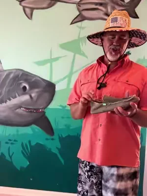 They just have that beach vibe going on! ##summervibes #dealsforyoudays #tiktokshopcreatorpicks #tiktokmademebuyit #beachvibes 