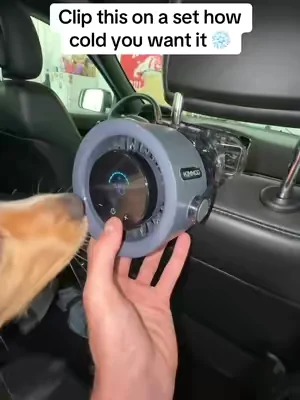 Dog approved #airconditioner #fan #summeressentials 