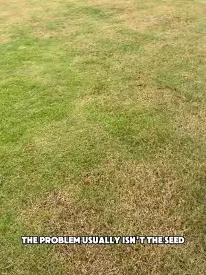 Before you buy more grass seed, watch this ⚠️ #lawncare #yardwork #lawnaerator #Rifpod #tiktokshopdealsforyoudays 