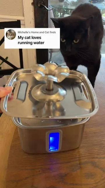 If your cats love drinking out of the sink, they’ll love this fountain. Look at the stream on this one! It’s fully stainless steel—even the base. 🤍 #catwaterfountain #catlover #catowner #catmom #dealsforyoudays 
