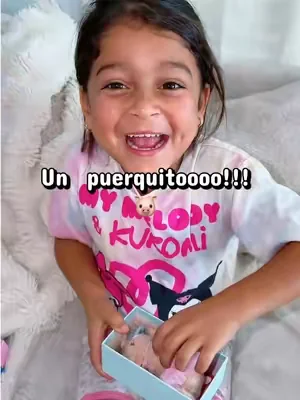 Si en tu casa también hay un niño o una niña que ama los animalitos o los juguetes diferentes, este me parece una idea de regalo preciosa.!!! #siliconepig #pig #dealsforyoudays #summerwins #cutetoy 