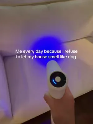 Smells hiding in your carpet or couch? This makes odor control so much easier ✨🐾 This nano blue light probiotic deodorizer is made to help remove strong odors from carpets, furniture, pet beds, car interiors, and other everyday odor-prone areas. The bio-enzyme formula helps break down unwanted smells instead of just covering them up, making it a great option for homes with pets, kids, carpets, or high-traffic spaces that need a quick refresh. #odorremover #petodorremover #carpetdeodorizer #fabricfreshener #homedeodorizer nano blue light deodorizer probiotic deodorizer pet odor remover carpet odor remover fabric deodorizer bio enzyme odor remover indoor odor removal pet deodorizer spray carpet freshener