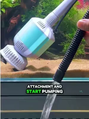 Why is the water flowing back into the tank?#aquarium #fishtank #cleaner #dealsforyouday #waterchange 