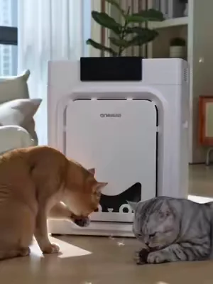 this literally traps pet hair from out of the air,we have two cats!   #PetAirPurifier   #PetHairEverywhere  #CatHealth #summeressentials #Dealsforyoudays 