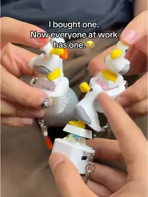 I got this as a joke... now I'm obsessed.Mine!#seagull #button #keychain #StressRelief #fypppppppppppppppppppp 
