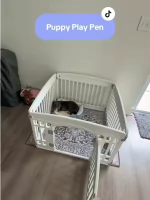 Finally found the puppy playpen that’s easy to set up, easy to clean, and gives your pup a safe place to play while you get things done. 🐶✨ #DealsForYouDays #PetMustHaves #DogMom #PuppyEssentials #tiktokshop 