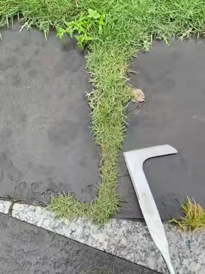 Do you still use butter knife and screwdriver for this type grass in crevice? #crevicetool#magictools#drivewaycracksgrass#DealsforYouDays#summerwins
