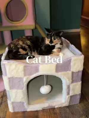 My cats loveee this bed ✨ #catbed #petbed #catlover #dealsforyoudays #summerwins 