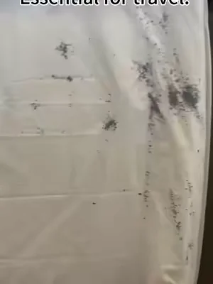 Tired of scratching bug bites all over your body?#bedbugs #pest #tiktokshop #pestcontrol #summervibe 