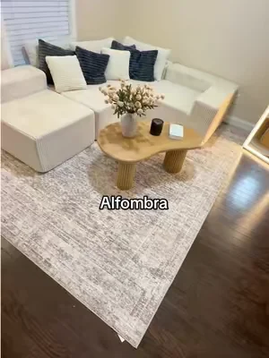 Alfombra repelente a los liquidados para que la casa luzca más hermosa #DealsForYouDays #TikTokShopCreatorPicks #Home 