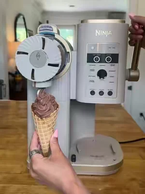 You’re welcome 😌🍦 #icecream #softserve #ninjacreami #summerwins #summervibes 