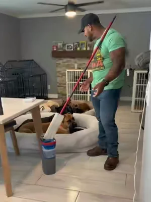 This is how I clean up after my two children and my 7 dogs #dadlife #cleanhome #cleaning #dogs #dealsforyoudays 