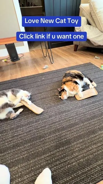 #potaroma #cattok #cattoys #catnip @Potaroma Pets 