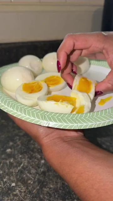 Yonsya Rapid Egg Cooker 7 Egg Capacity ##eggcooker##electriceggscooker##DealsForYouDays##SummerWins##TiktokShopCreatorPicks