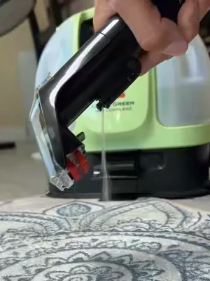 Grab yours before they sell out! #bissell #bisselllittlegreen #littlegreen #stainremoval #cleaning 