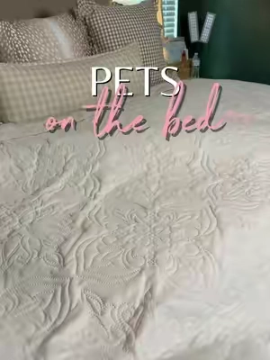 If you sleep with your pets, you need this pet friendly bedding. #petsonthebed #petfriendly #petfriendlybedding #dealsforyoudays 
