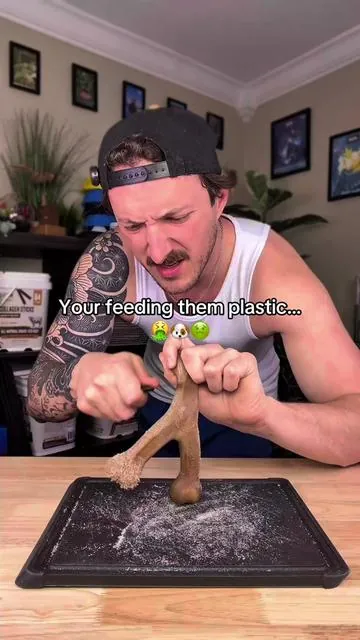 There’s so many better options than feeding your dogs plastic… #dog #DealsforYouDays #dogsoftiktok #mightypaw #dogs 