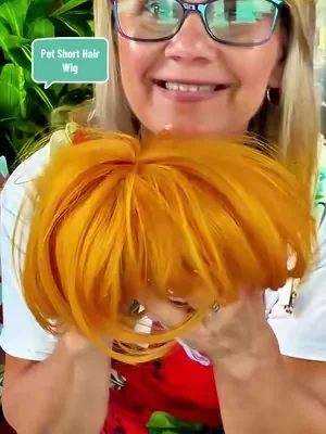 Adorable Appearance Pet Short Hair Wig Headband - Cute and Playful All Seasons Fun Accessory for Dogs & Cats, Valentine's Day Gift #DealsForYouDays #SummerWins #dogmomsoftiktok #funnydogvideos #funnydogsoftiktok @peaouter 