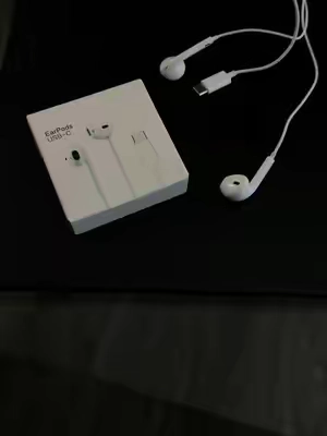 #fyp #larp #earphones #aurafarm #usbc 