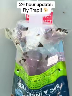 This has made a huge difference! #flytrap #flyrepellent #bugrepellent #dealsforyoudays 