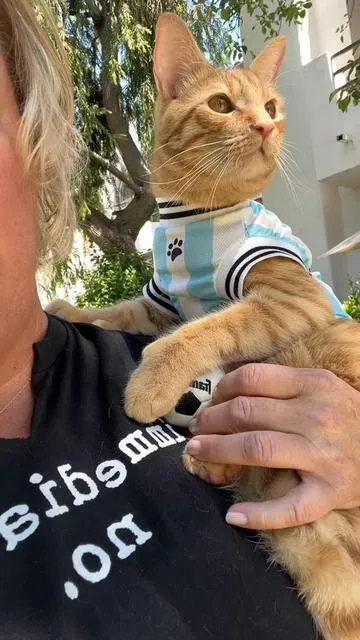 Only one game today!!! Who are you rooting for?! #summerwins #worldcup2026 #worldcup #fyp #petsoftiktok 