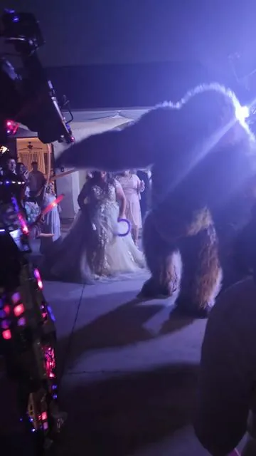 8.2 ft giant fashionable inflatable gorilla costume set with diamond design #gorilla #costume #birthdayparty #rentals #quinceañera 