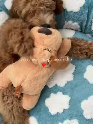 This heartbeat plush is such a cute comfort toy for puppies! ♥️ #dealsforyoudays #SummerWins #SummerVibes #PuppyEssentials #DogMom