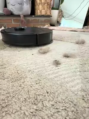 A robot vaccum that also mops and can zone clean!  @RoborockUS  #roborock #roborockQV35S #robotvacuum #dealsforyoudays #summerwins 