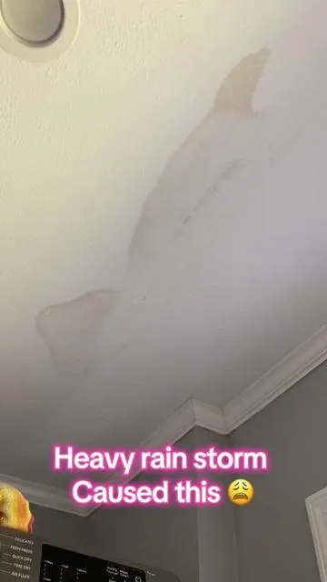 It got rid of this stain so fast 😳😳😳 #stainremover #homeimprovement #tiktokshop #homefinds #homerenovation 