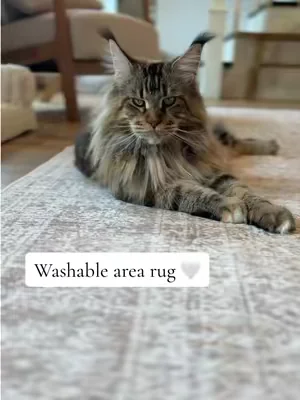 Replying to @Kayla Syribouth  Yes I found one that’s more affordable and it’s so pretty 🤍 #homedecor #livingroomdecor #homefinds #washablerugs #aesthetichome 