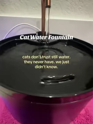 filtered, flowing, and they act like it’s a luxury spa. obsessed with this thing 😭🐾 #catsoftiktok #cathealth #catwaterfountain 