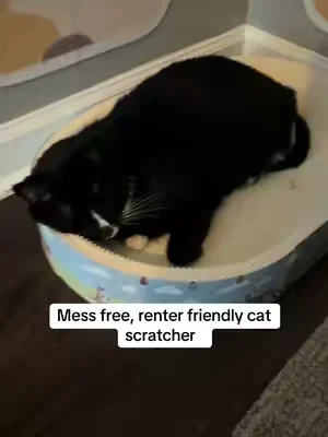 I love that this is mess free and it’s so good for my cats claws! #renterfriendly #catscratcher #catenrichment #catmusthaves #catproducts 