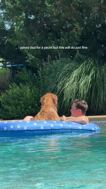 dad and i are busy discussing absolutely nothing on my very own pool float. link in video to grab yours 🌊🍋‍🟩⛱️🏝️🍉⛵️ #dog #goldenretriever #pool #pooldog #teddybubblesandbiscuit 