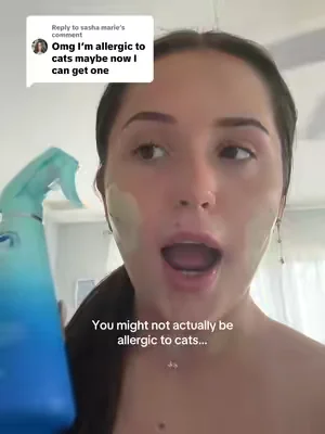 Replying to @sasha marie best cat owner tool #cats #pettok #cattok 