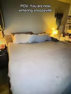 Best nights sleep I’ve ever had in my life. After going through dozens of pillows. Mellow knows what’s up #mellow #pillow #bodypillow #coolingblanket #dealforyoudays 