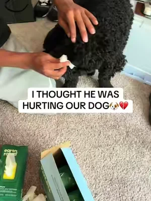 I understand now, they actually help💯 #dogs #dogtok #fyp #viral #tiktokshop 