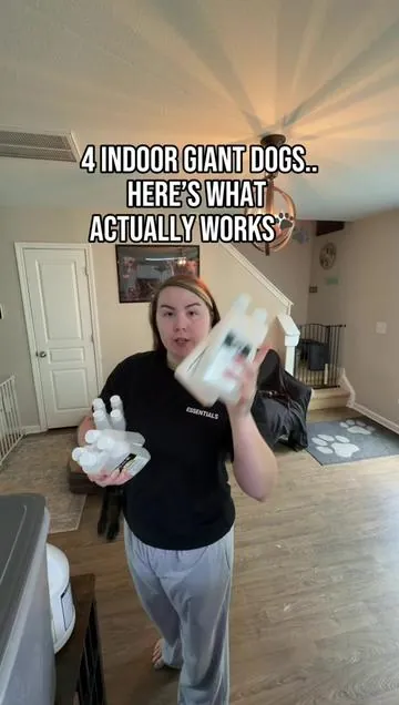 Hope you and your pups have a tailwaggin day! 💛🐾  #realistic #cleaningtips #dogmomsoftiktok #dogsoftiktok #petsoftiktok 