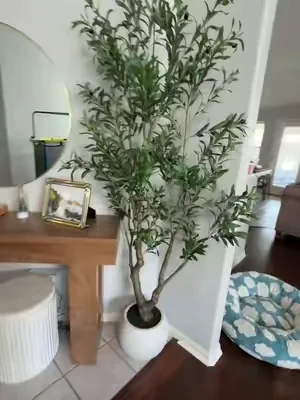 #olivetree#realisticolivetree #homedecor 