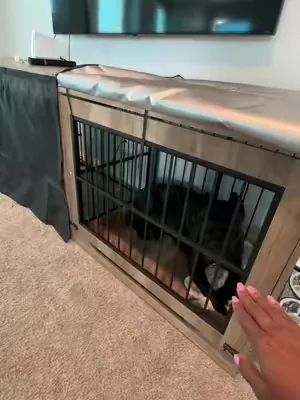 This dog crate is so stylish and looks more like furniture.  #dogkennel #dogcrate #dogaccessories #bigdogs #dealsforyoudays 
