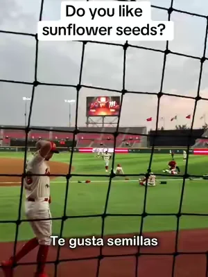 Do you like sunflower seeds? @DiablosRojosMX 