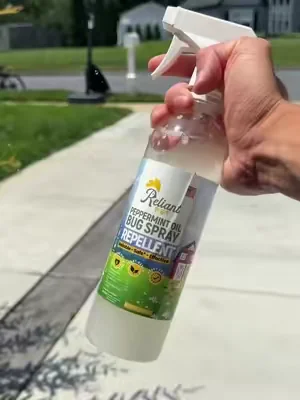 Bug repellent that isn’t toxic for kids and pets 😳 #bugrepellent #bugspray #homemusthaves #dealsforyoudays 