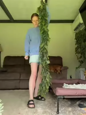 These garlands are so nice and full! 