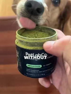 No more fussing when it comes to brushing my dogs teeth, all she has to do is eat her dinner to clean her teeth now! #dogdentalpowder #petlabcoprobrightadvanceddentalpowder #dogteethcleaning #dogdentalcare 