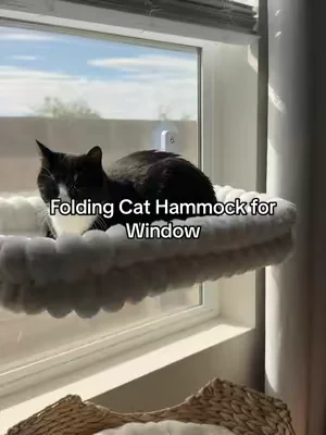 Her favorite spot in the house 🥰 #catsoftiktok #catpeople#catmom #dealsforyoudays #tiktokshopcreatorpicks 